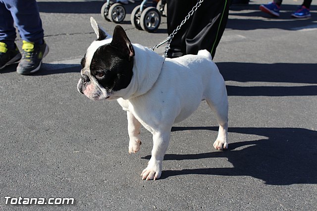 Romera Santa Eulalia Totana  08/12/2015 - Reportaje I - 682