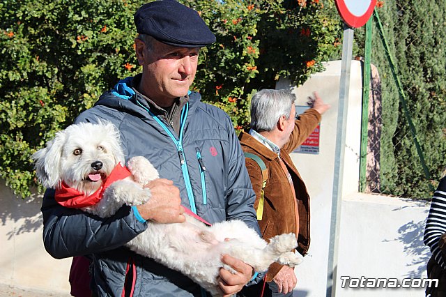 Romera Santa Eulalia 08/12/2017 - 597