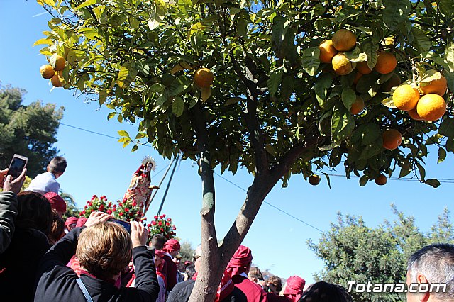 Romera Santa Eulalia 08/12/2017 - 622