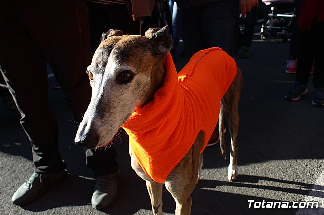 Romera de bajada Santa Eulalia Totana 2018 - 607