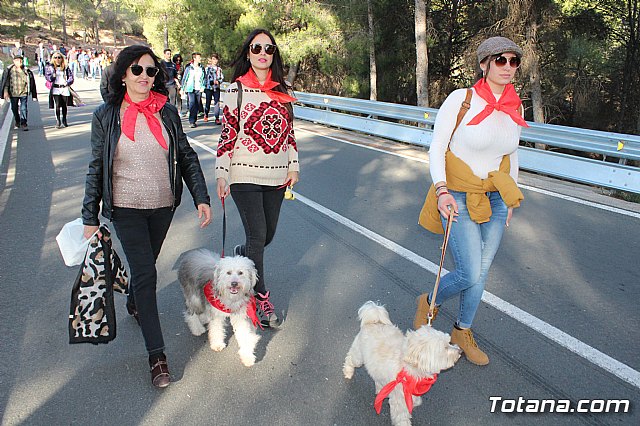 Romera de bajada Santa Eulalia Totana 2018 - 655