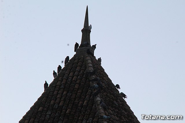 Romera Santa Eulalia 8 diciembre 2019 (Reportaje I) - 55