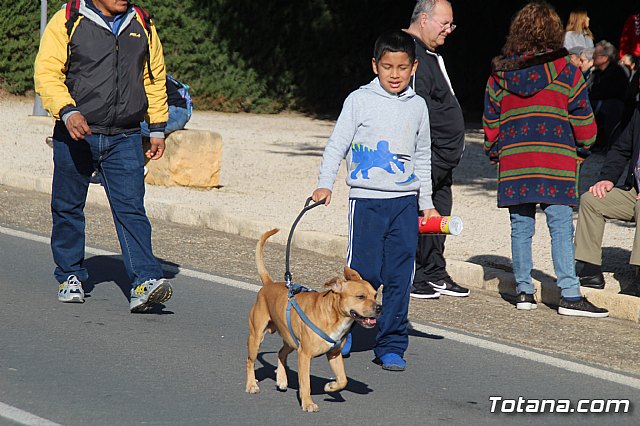 Romera Santa Eulalia 8 diciembre 2019 (Reportaje I) - 427