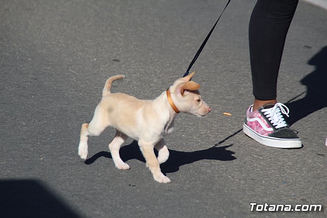 Romera Santa Eulalia 8 diciembre 2019 (Reportaje I) - 446