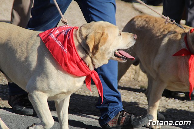 Romera Santa Eulalia 8 diciembre 2019 (Reportaje I) - 647