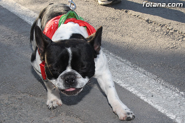 Romera Santa Eulalia. 7 enero 2012 - FOTOS - 203