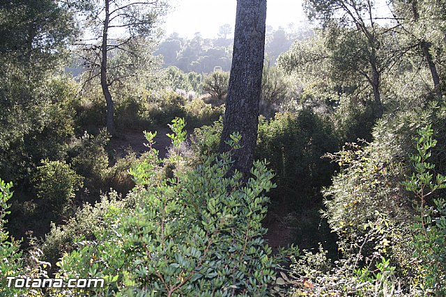 Romera Santa Eulalia. 7 enero 2012 - FOTOS - 388