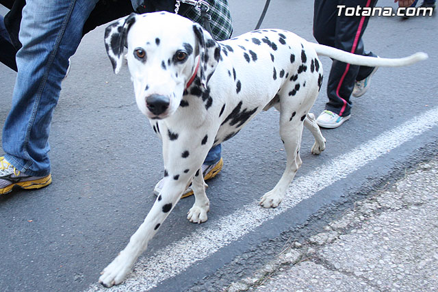 Romera Santa Eulalia. 7 enero 2012 - FOTOS - 580