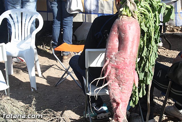 Romera Santa Eulalia. 7 enero 2012 - FOTOS - 859