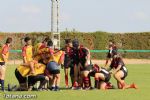rugby
