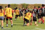 rugby