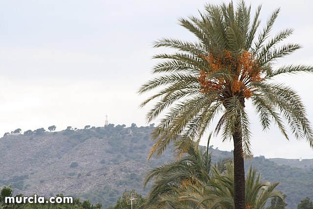 Entrevista a Juan Oncina, entrenador del Club de Rugby Totana - 35