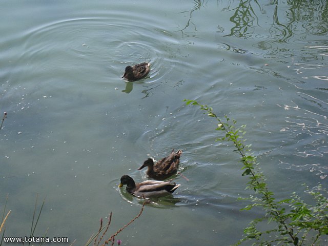 Viaje a Lagunas de Ruidera (Castilla - La Mancha) - 57