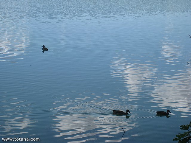 Viaje a Lagunas de Ruidera (Castilla - La Mancha) - 59