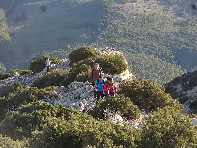Club Senderista Totana - Sierra Espua - 29/11/2015 - 24