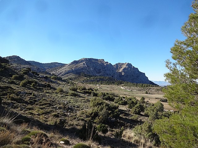 Club Senderista Totana - Sierra Espua - 29/11/2015 - 31