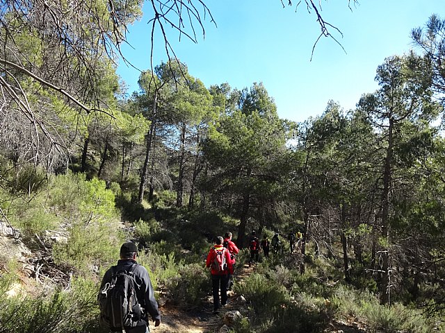 Club Senderista Totana - Sierra Espua - 29/11/2015 - 35