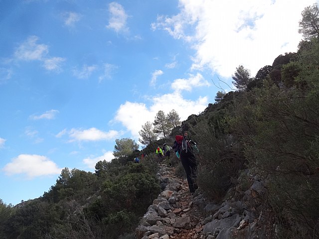 Club Senderista Totana - Sierra Espua - 29/11/2015 - 50