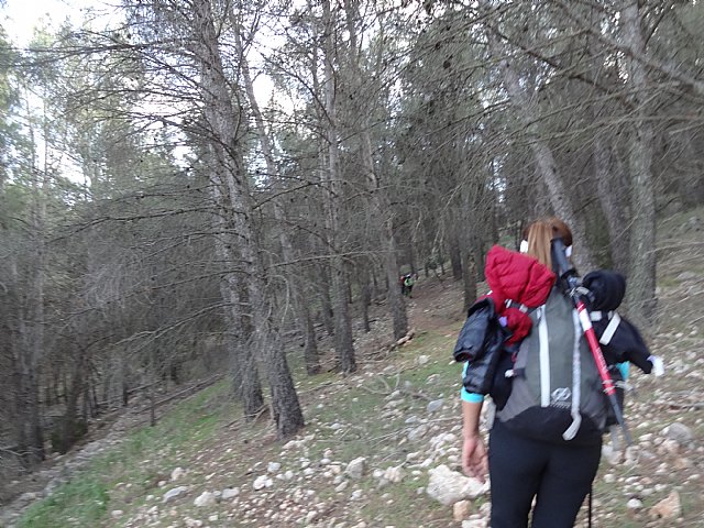 Club Senderista Totana - Sierra Espua - 29/11/2015 - 51