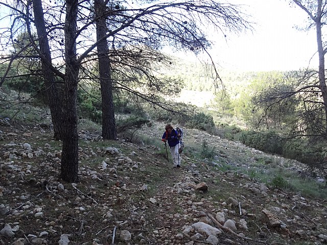 Club Senderista Totana - Sierra Espua - 29/11/2015 - 52