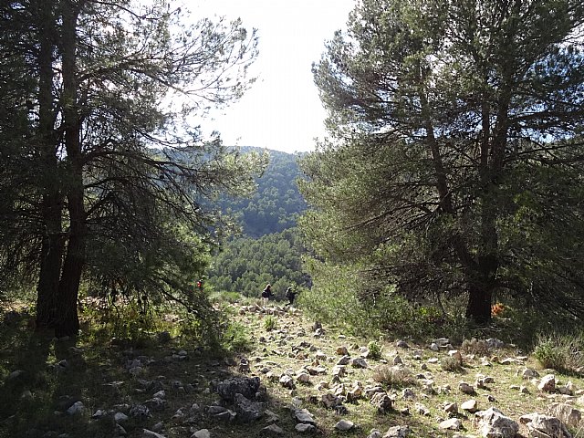 Club Senderista Totana - Sierra Espua - 29/11/2015 - 53