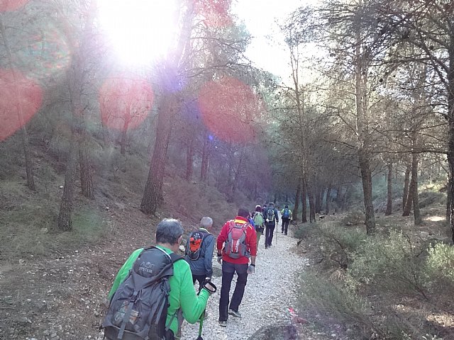 Club Senderista Totana - Sierra Espua - 29/11/2015 - 56