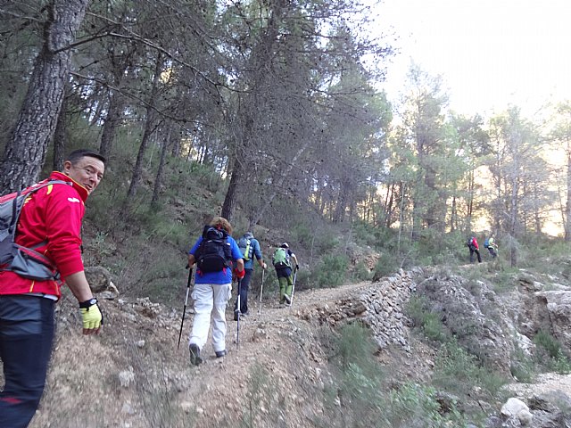 Club Senderista Totana - Sierra Espua - 29/11/2015 - 57