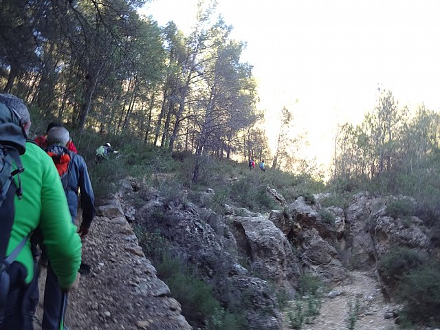 Club Senderista Totana - Sierra Espua - 29/11/2015 - 59