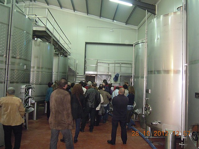 Onomstica de Santa Mara Salom y viaje a Jumilla - 53