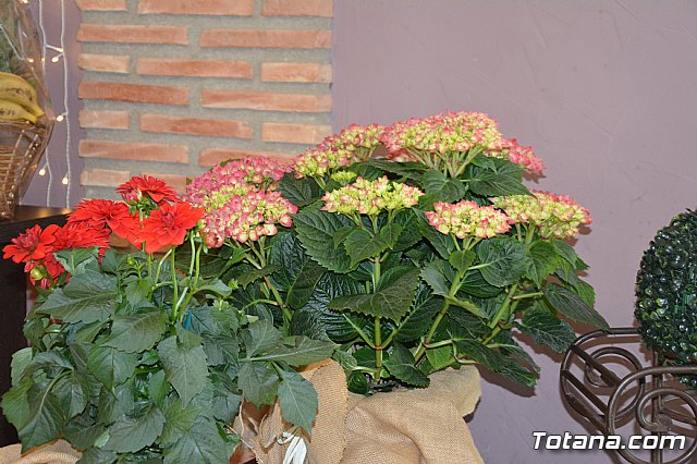 Comida-gala Hdad. de Santa Mara Salom y Ecce Homo 2019 - 5