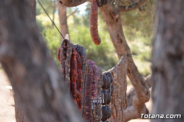 Jornada de convivencia. Hdad. de La Salom 2019 - 8