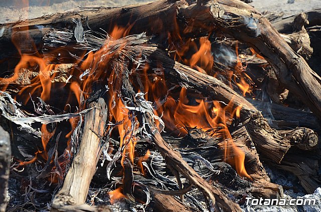 Jornada de convivencia. Hdad. de La Salom 2019 - 17