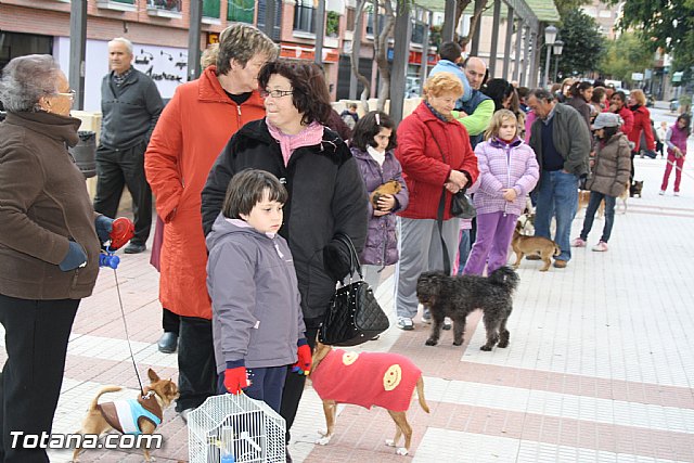 Bendicin animales - San Antn 2012 - 2