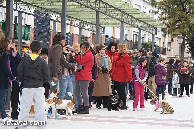 Bendicin animales - San Antn 2012 - 7