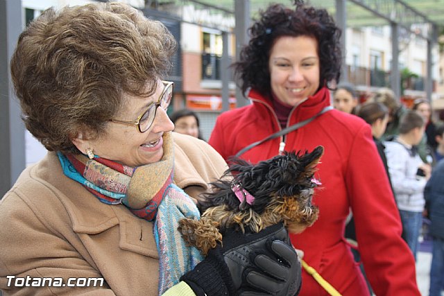 Bendicin animales - San Antn 2012 - 11