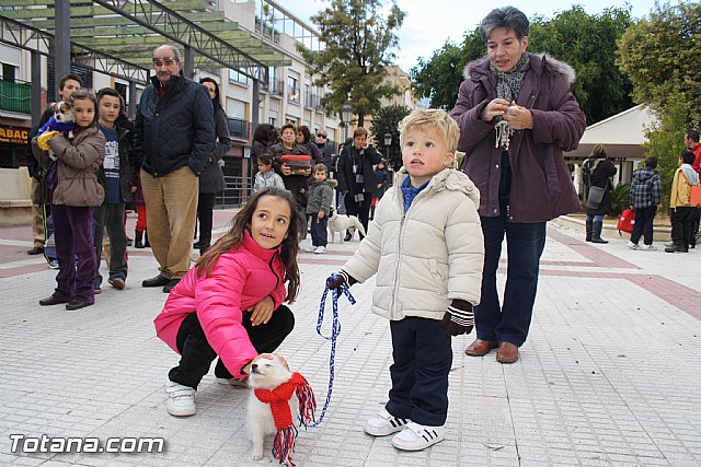 Bendicin animales - San Antn 2012 - 14