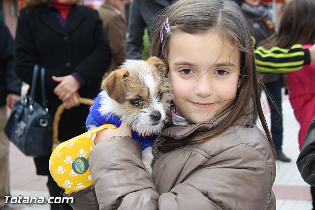 Bendicin animales - San Antn 2012 - 21