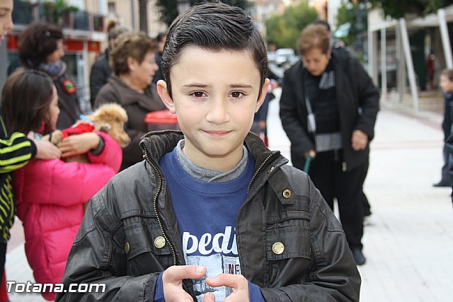 Bendicin animales - San Antn 2012 - 22