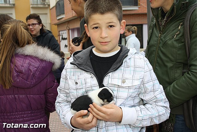 Bendicin animales - San Antn 2012 - 24