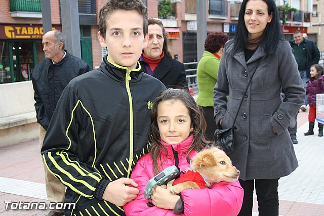 Bendicin animales - San Antn 2012 - 26