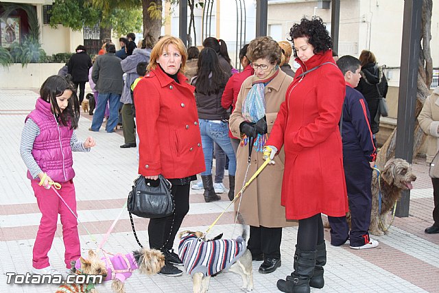 Bendicin animales - San Antn 2012 - 29