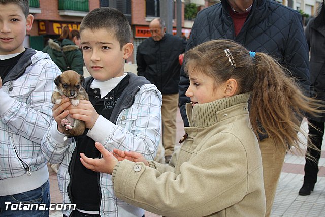 Bendicin animales - San Antn 2012 - 33