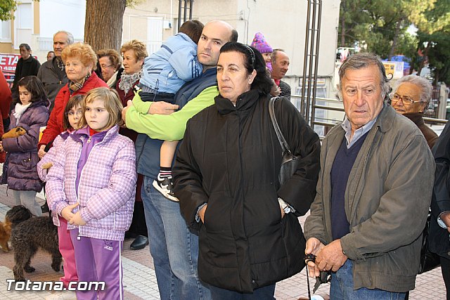 Bendicin animales - San Antn 2012 - 41