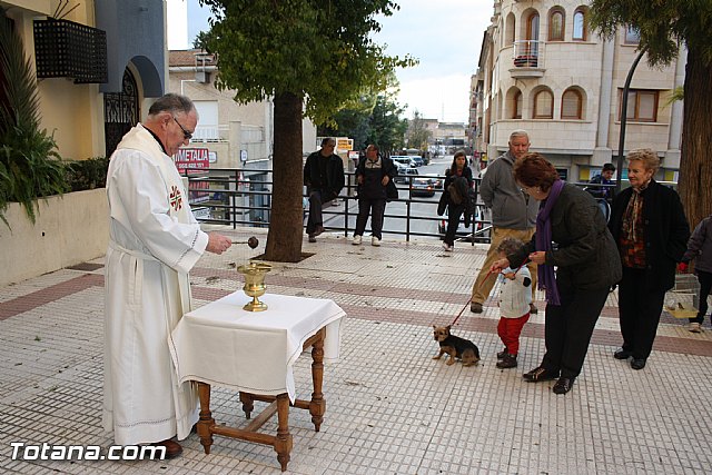 Bendicin animales - San Antn 2012 - 44