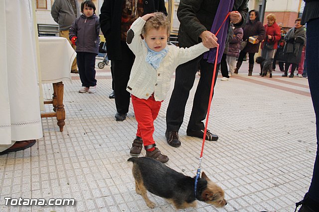Bendicin animales - San Antn 2012 - 46
