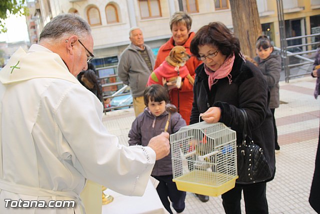 Bendicin animales - San Antn 2012 - 47