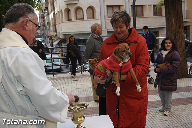 Bendicin animales - San Antn 2012 - 48