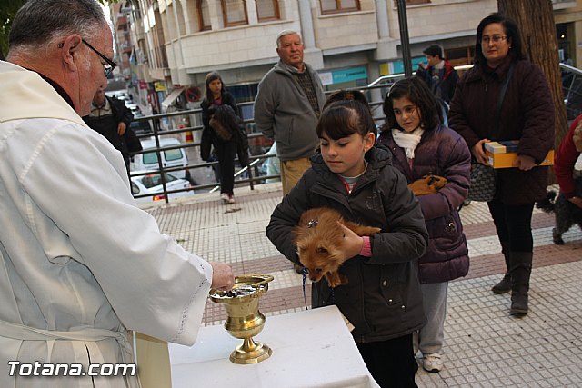 Bendicin animales - San Antn 2012 - 49