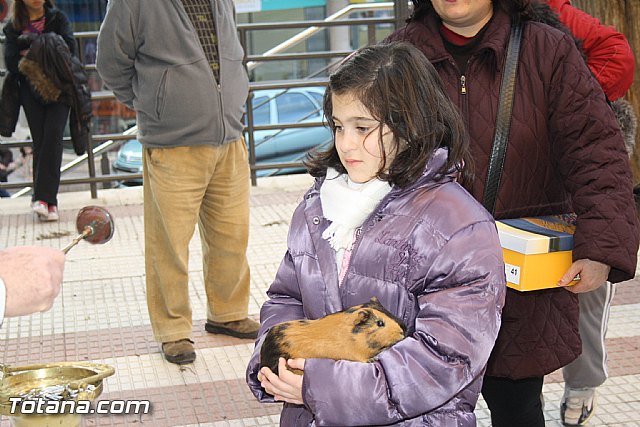 Bendicin animales - San Antn 2012 - 50