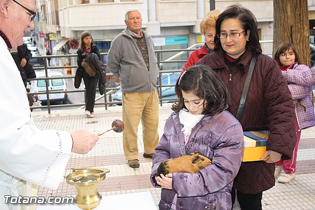 Bendicin animales - San Antn 2012 - 51